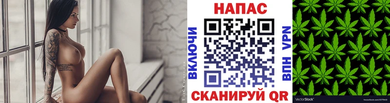 Как найти закладки Старица COCAIN  Меф  СОЛЬ  Псилоцибиновые грибы  Гашиш  Каннабис 