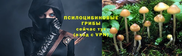 бошки Богородск