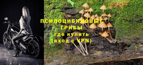 бошки Богородск