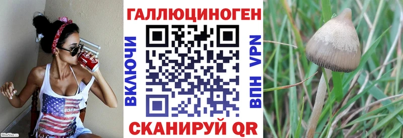 Галлюциногенные грибы Magic Shrooms купить наркотики цена Старица